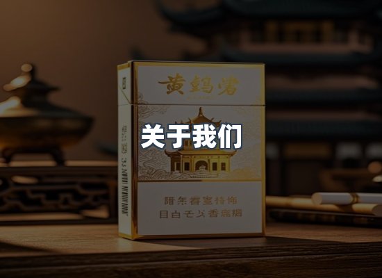 关于我们